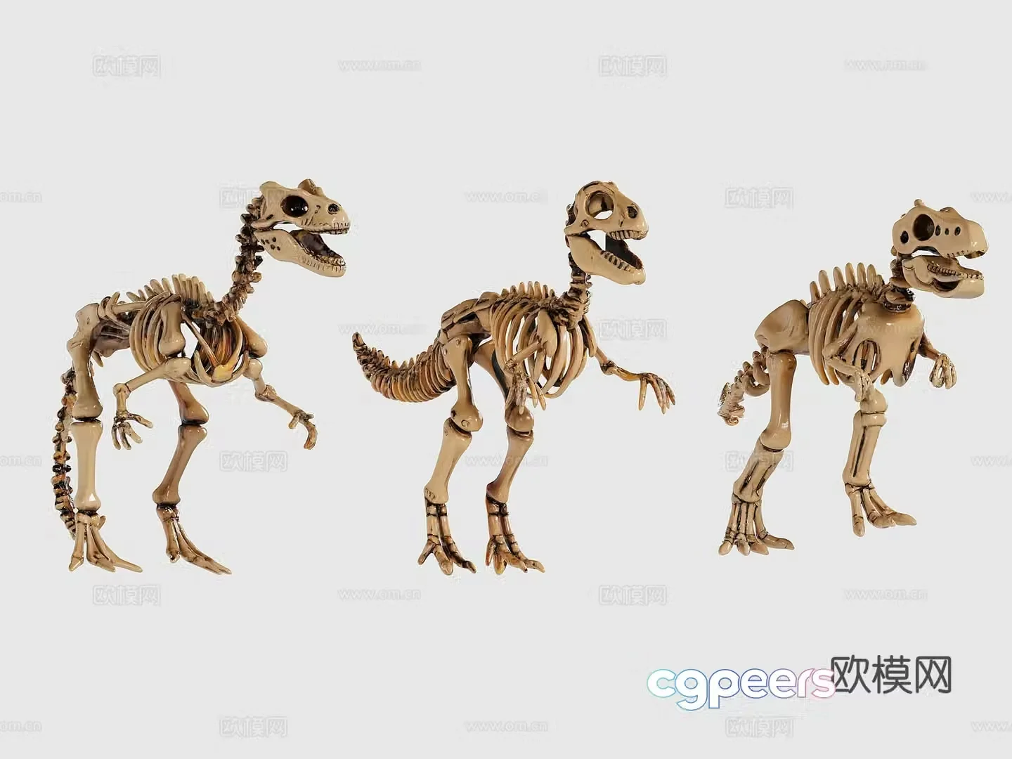 Dinosaur bone children’s ornament toy 3d model