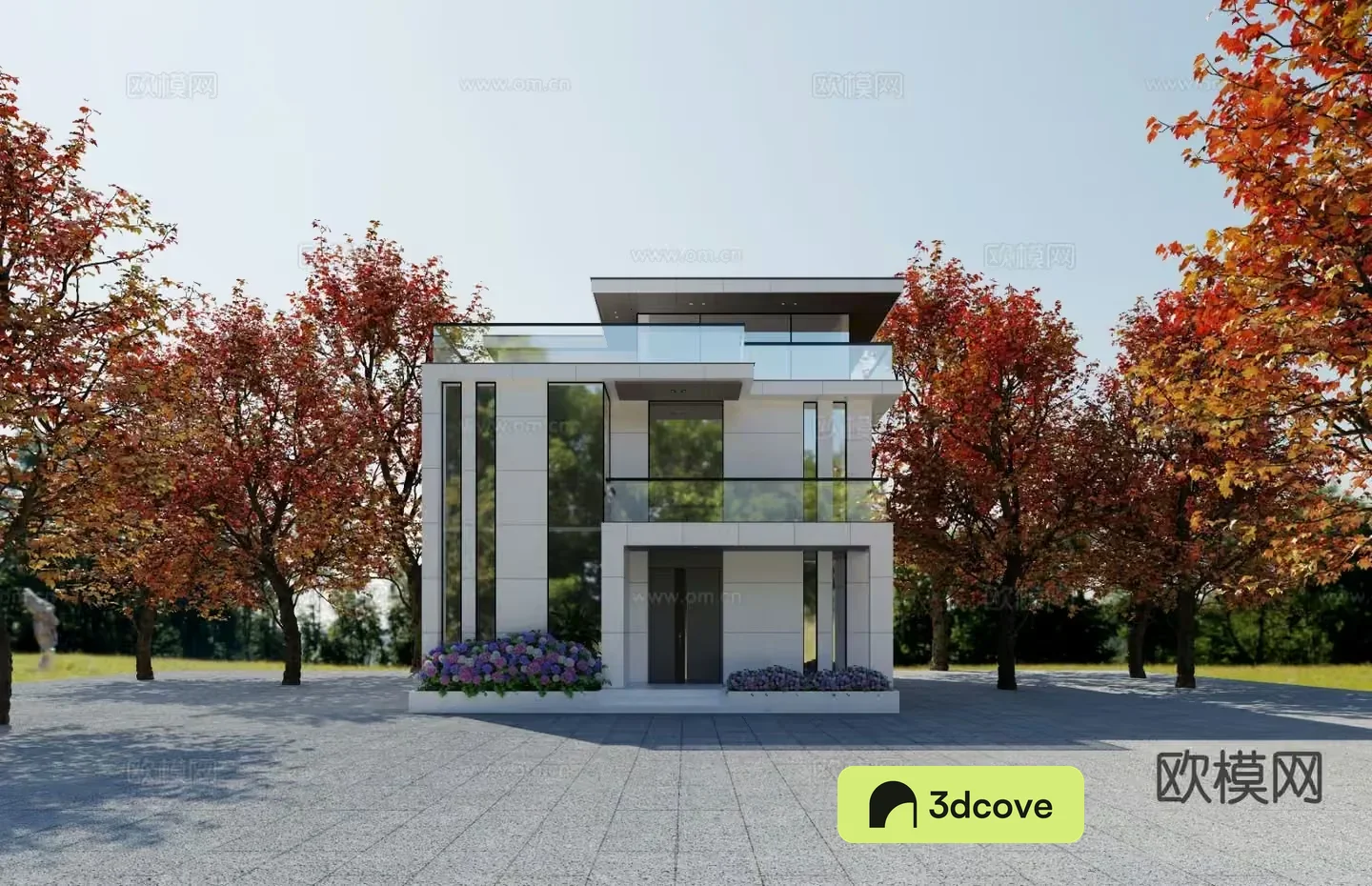 A Modern House