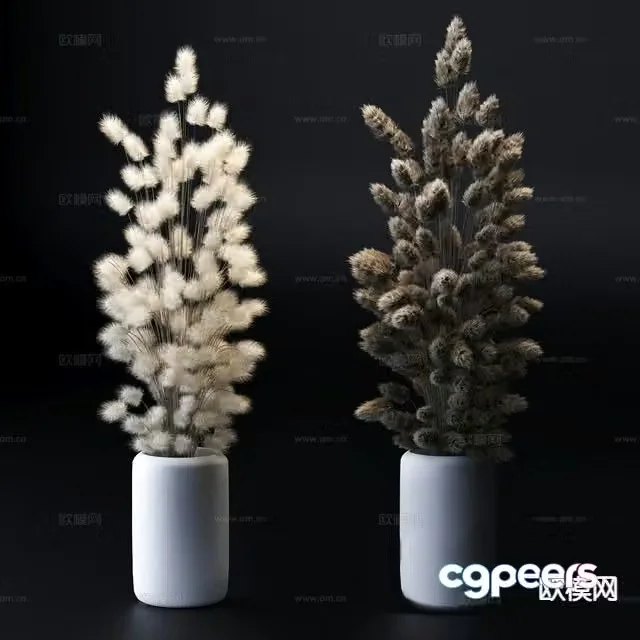 Plant green plants vase 3d model