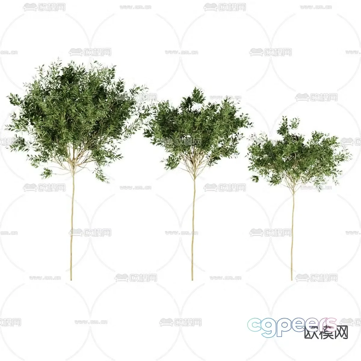 Tree Landscape Tree 3d Model