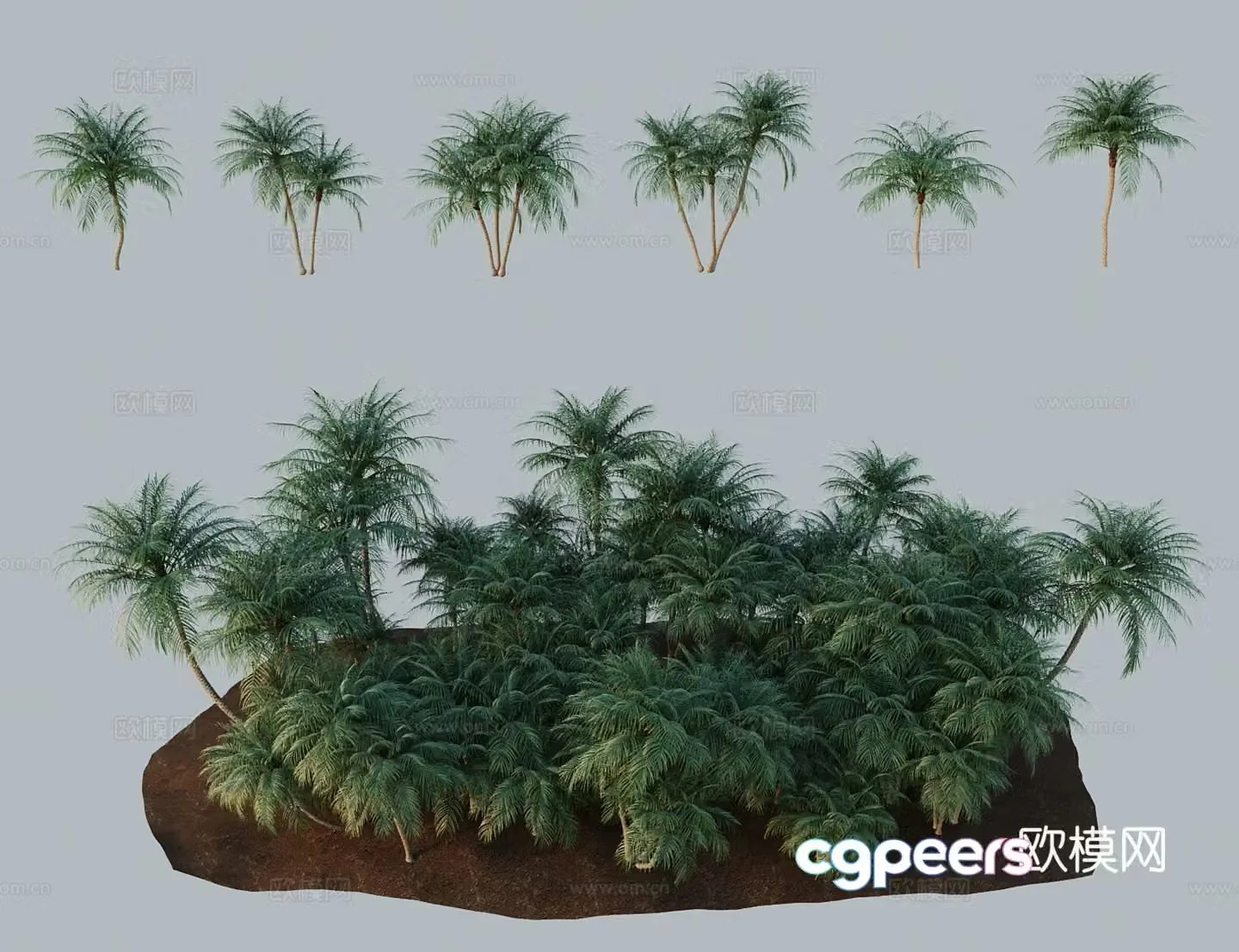 Modern landscape tree riverside thorny soft leaf needle sun beautiful pearl sun prince Robbie coconut 3D model