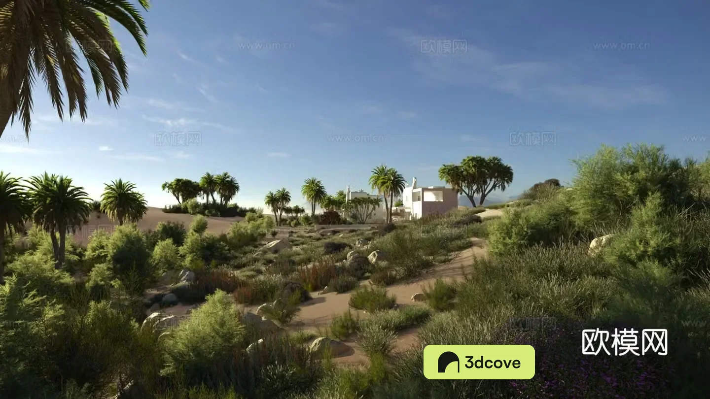 Desert scene tropical plants