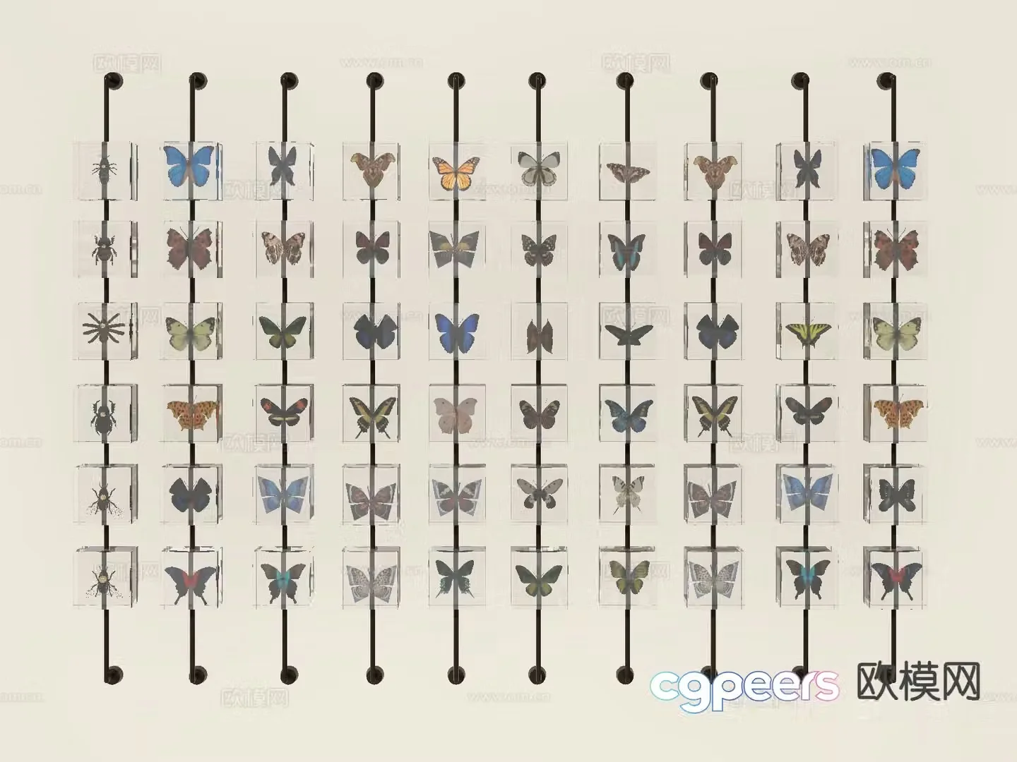 Butterfly specimen hanging ornament 3d model
