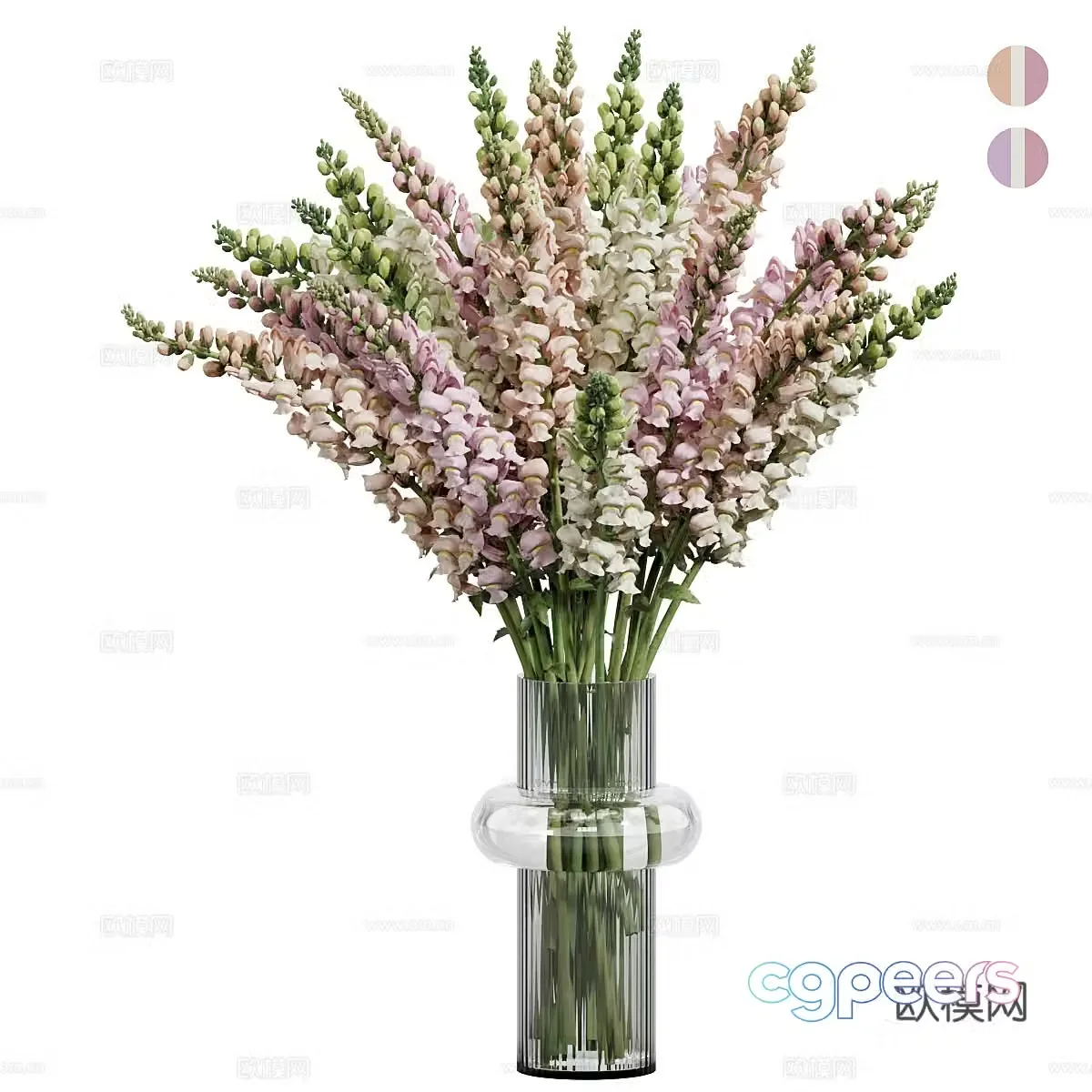 Lavender 3d model