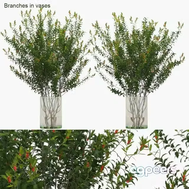 3ds Max Free – Branches in vases Dragon Lady