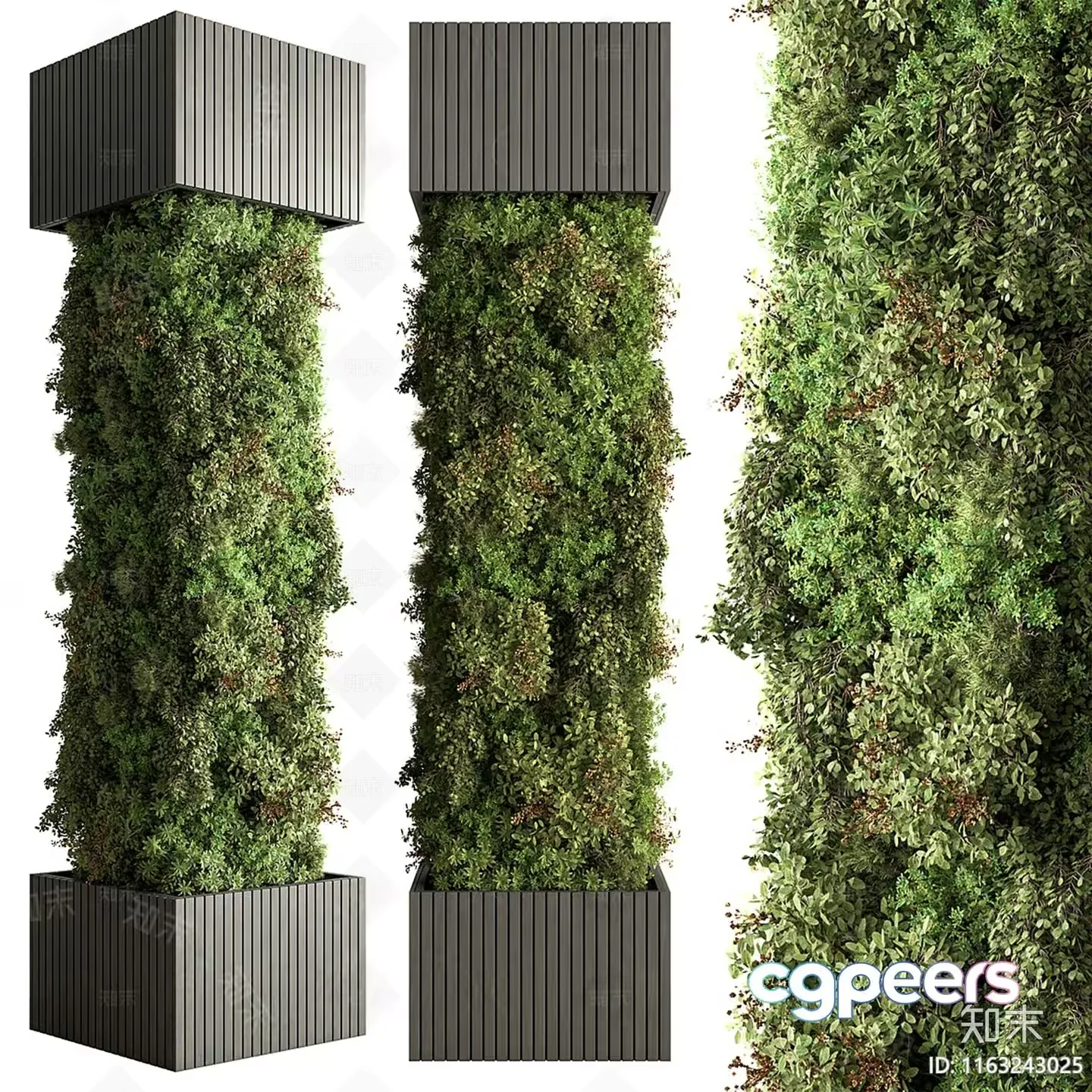 A Vertical Garden In A Planter 3D Model – 14304 – VRAY Render