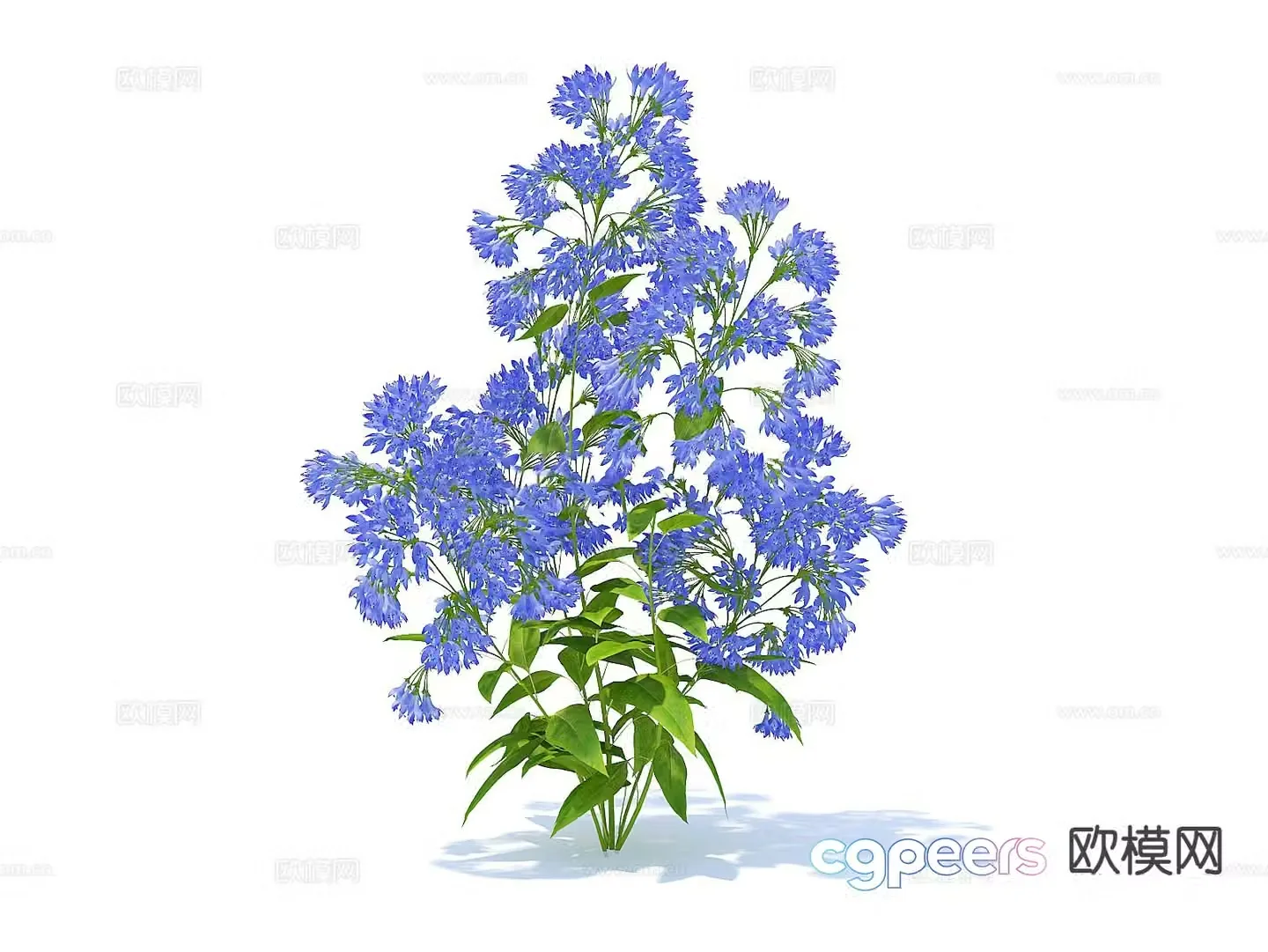 Flowers flowers plants green plants 3d model