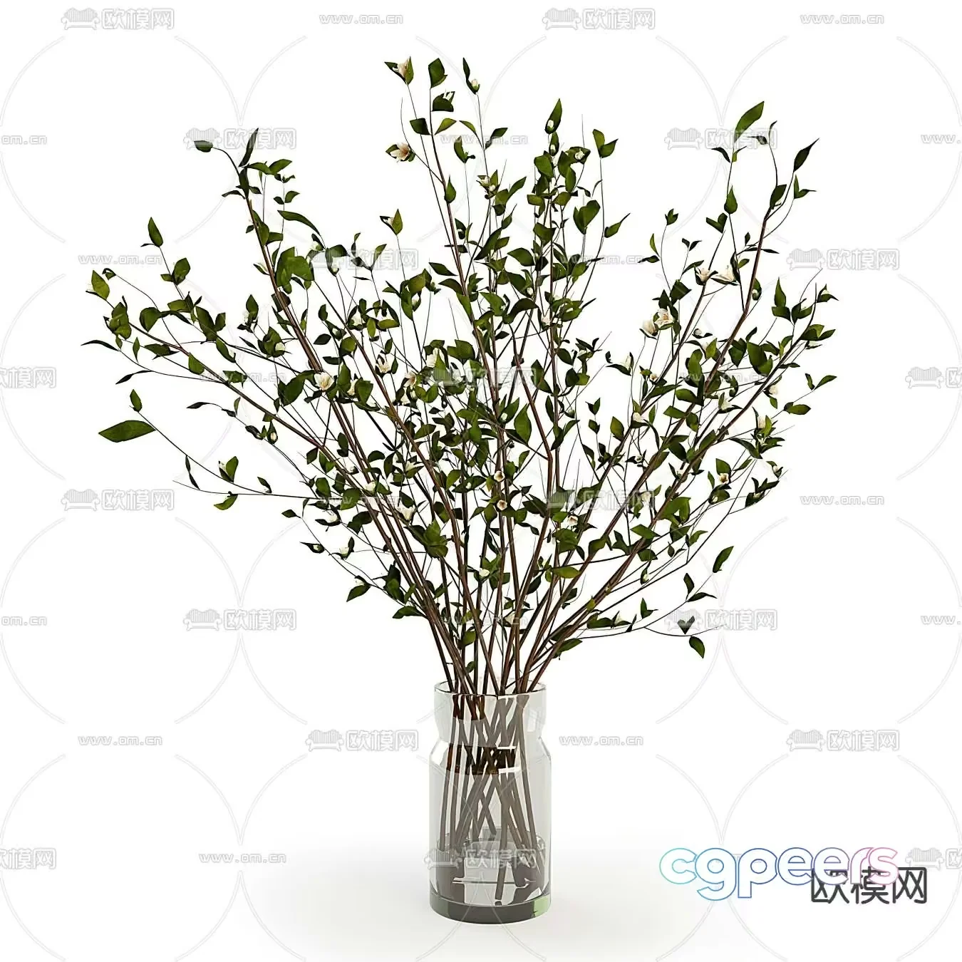 A Vase With Green Stems And Leaves 3D Model – 9445 – VRAY Render