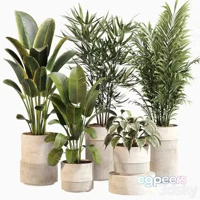 3ds Max Free – Indoor Plant Set 031