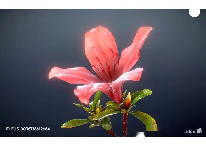 Pink Flower With Green Leaves 3D Model – 6679 – VRAY Render