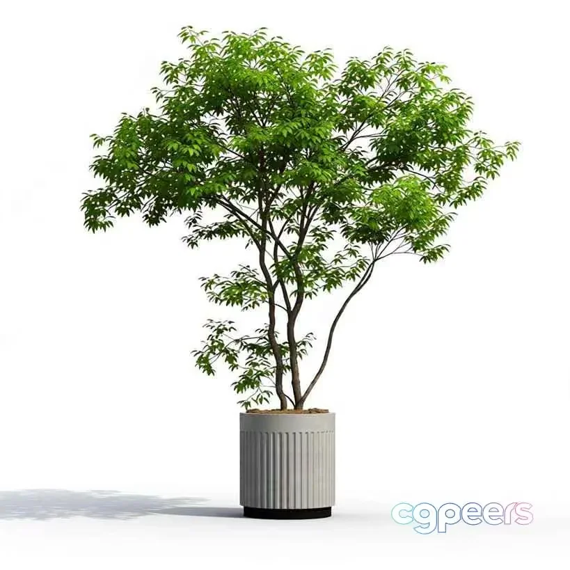 A Potted Plant 3D Model – 21415 – VRAY Render
