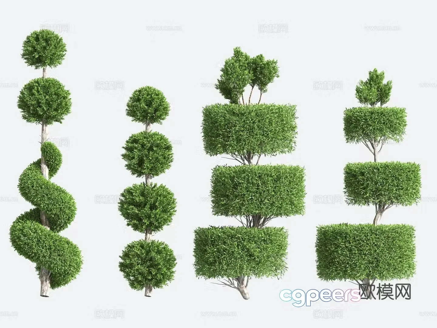 Ornamental Plant Modeling Tree Gardening Shrub 3D Model
