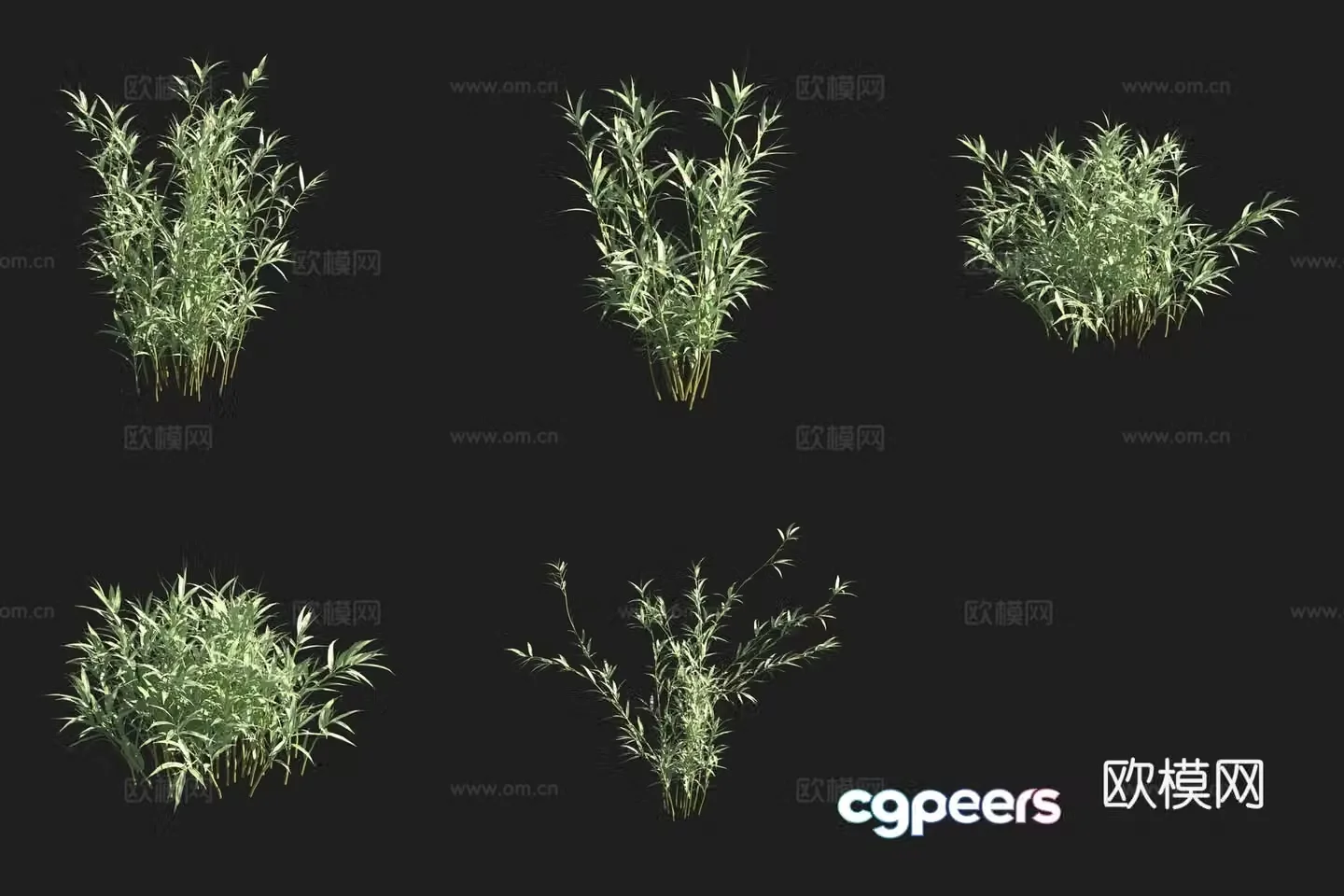 Bamboo bamboo forest 3d model