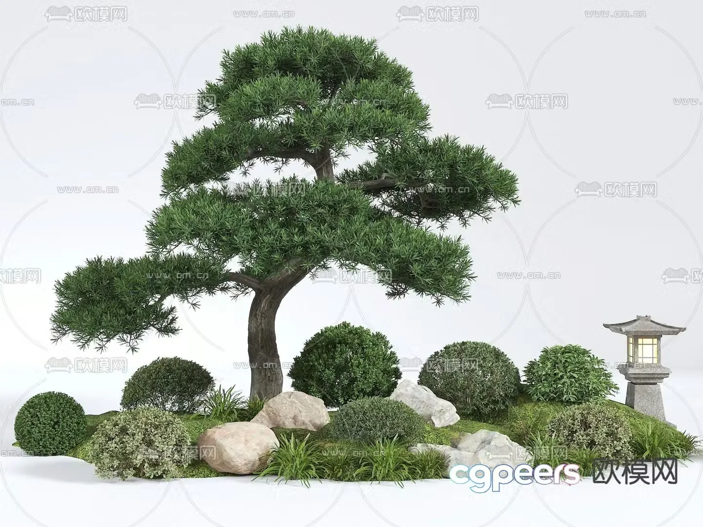 Landscape sketch pine tree landscaping 3D model