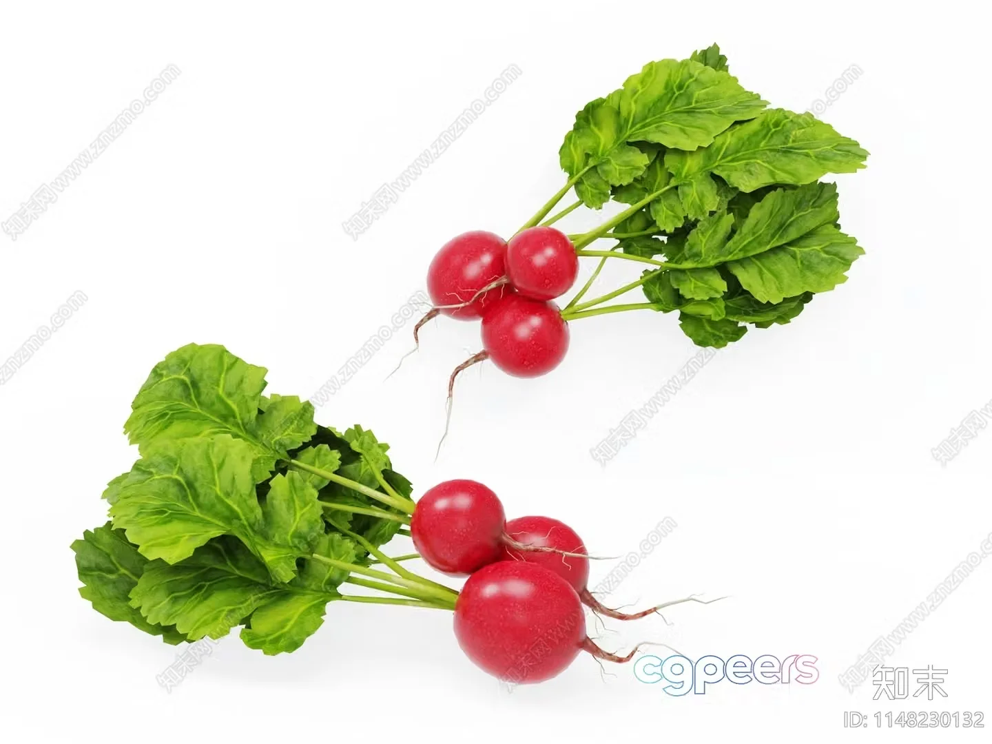 Radish Bunches 3D Model – 12728 – VRAY Render