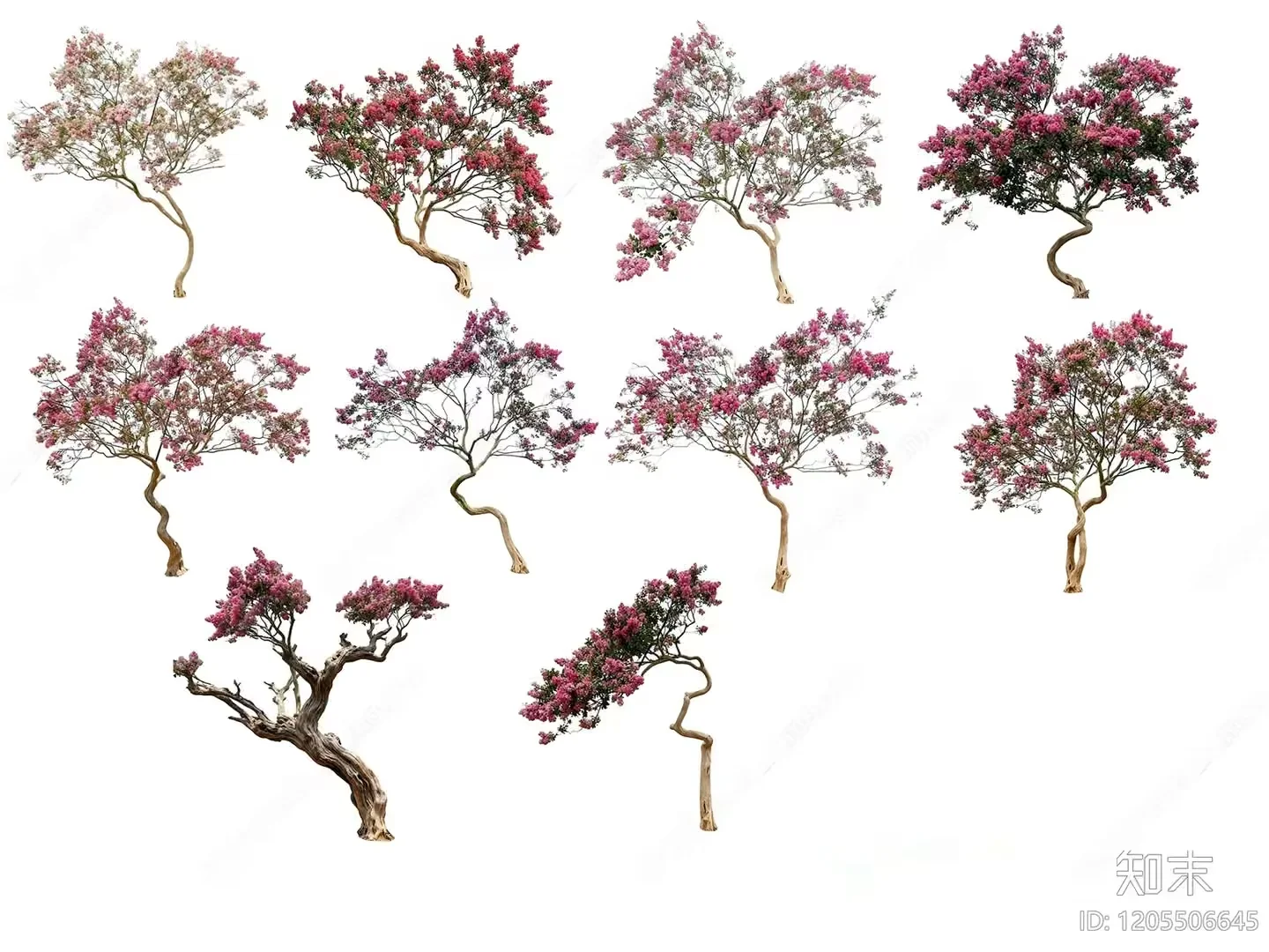A Tree With Pink Flowers 3D Model – 11069 – VRAY Render
