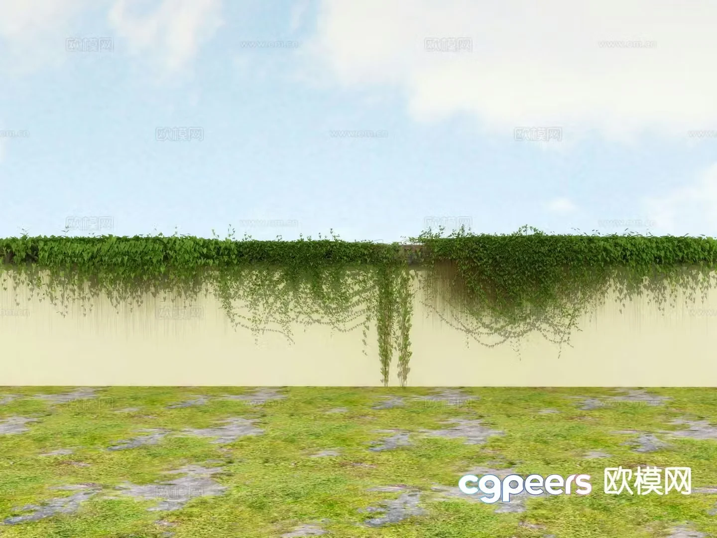 Vine Climbing Ivy 3D Model