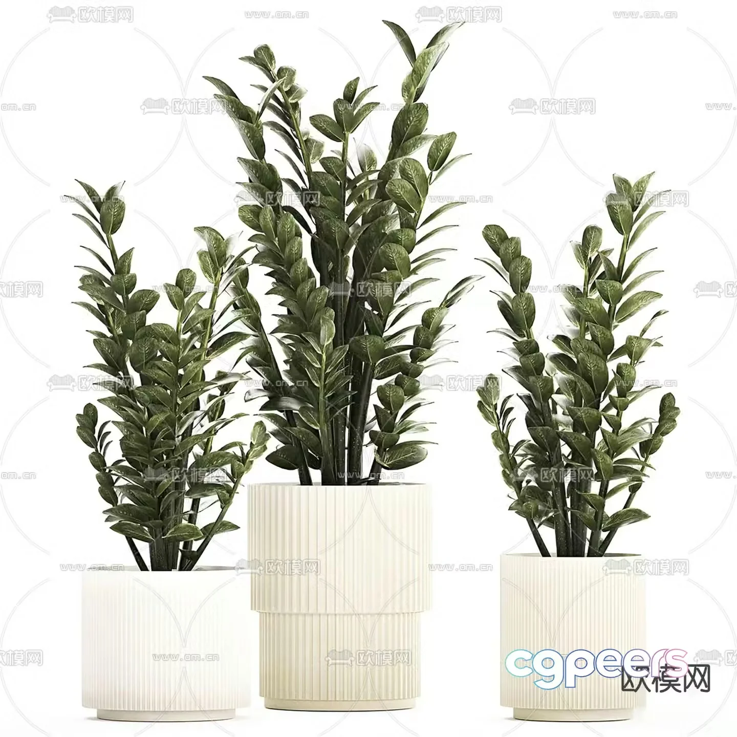 Indoor potted plant 3d model