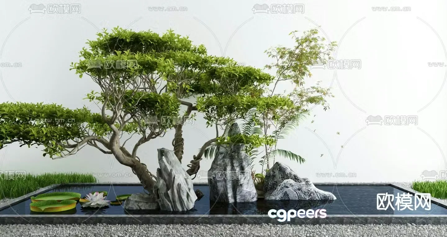 Courtyard sketch rockery landscape sketch 3D model