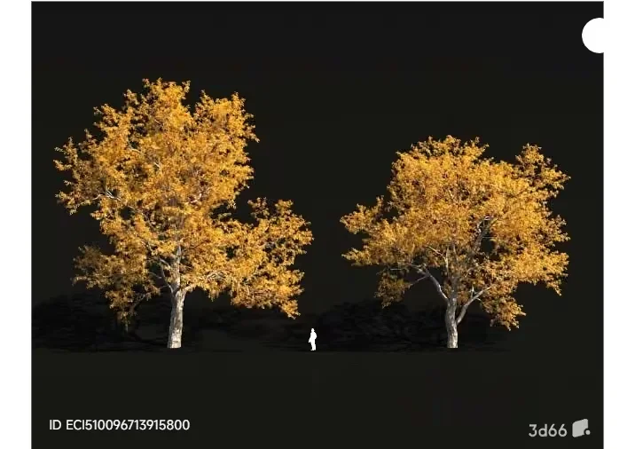 The Main Subject Is Two Trees With Yellow Leaves 3D Model – 17538 – VRAY Render
