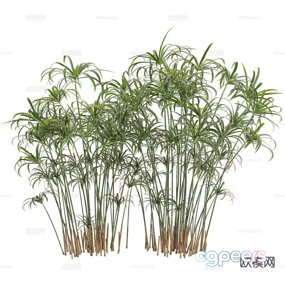 Bamboo Landscape Tree Rich Bamboo 3D Model