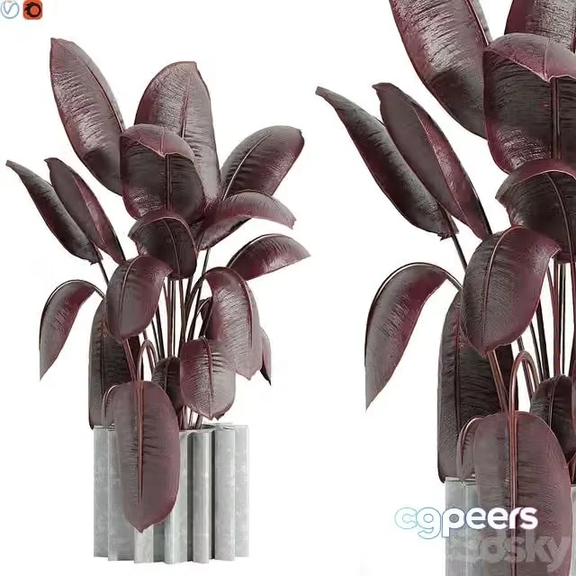 3ds Max Free – Indoor plant 65
