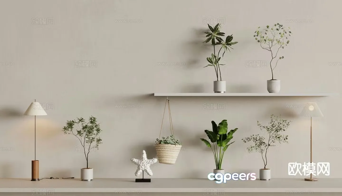 Potted fern green plant plantain spider plant 3d model
