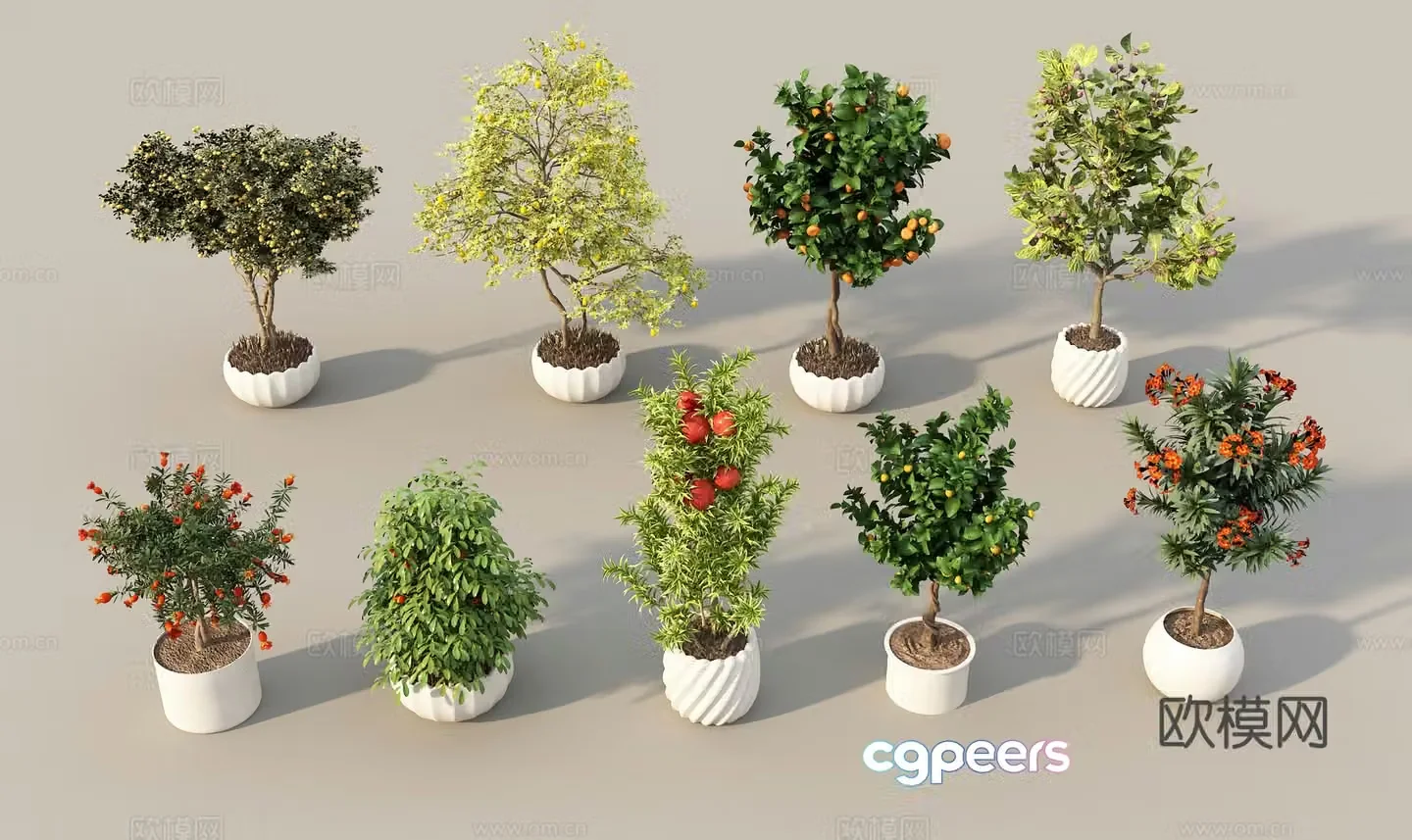 Modern fruit tree Modern potted plant 3d model