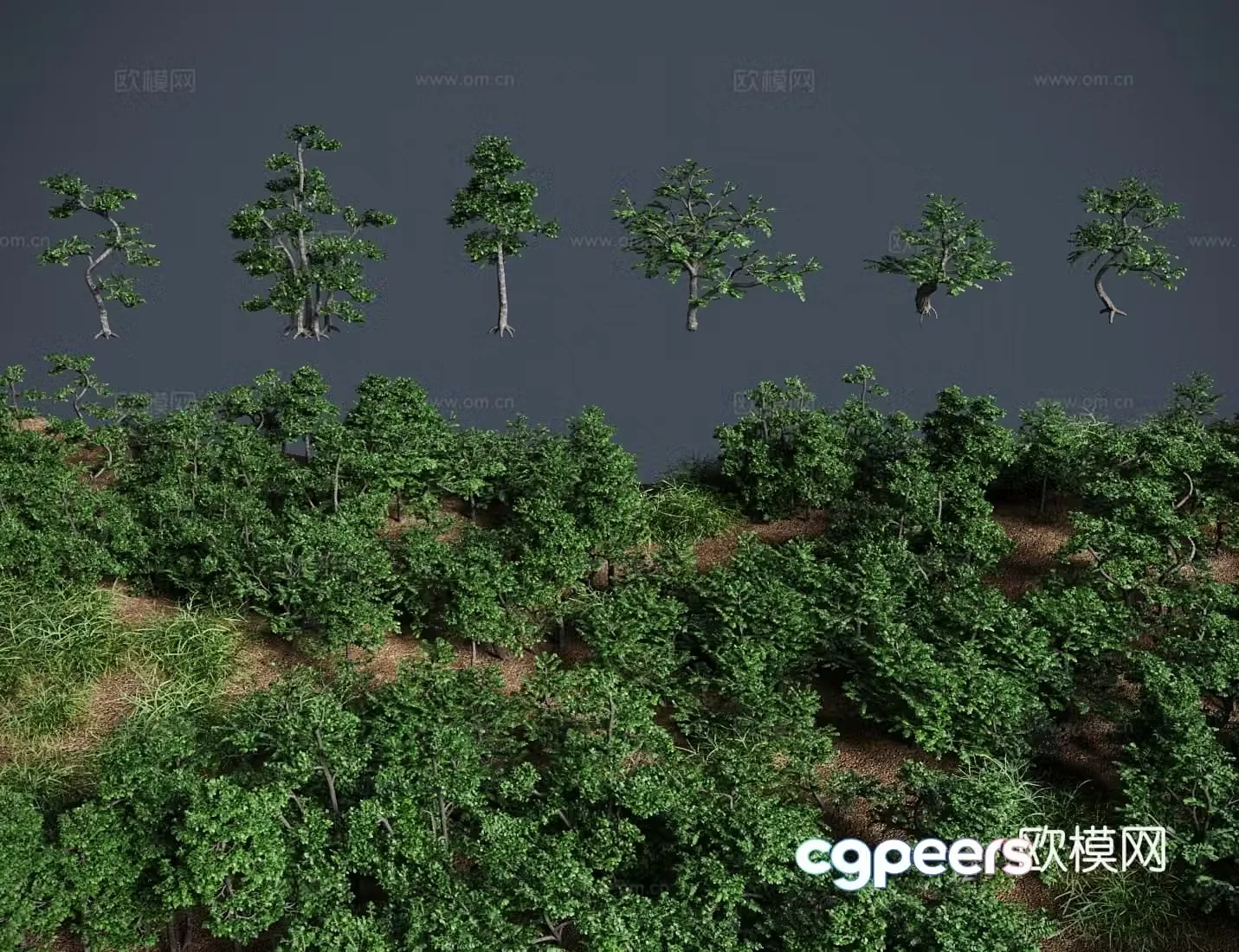 Modern landscape tree Pepperwood bonsai shrub 3d model