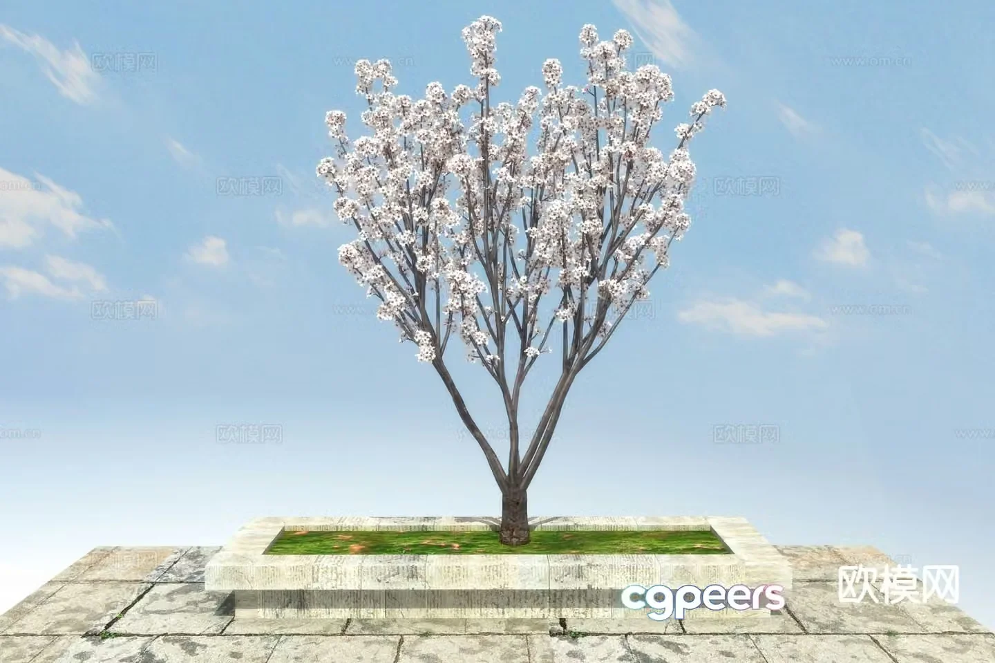 Landscape tree purple leaf plum 3d model