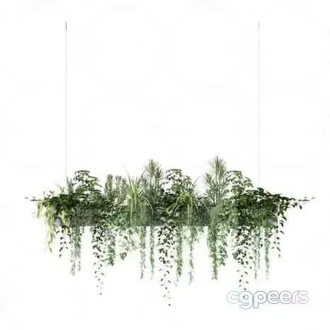 A Hanging Plant Arrangement 3D Model – 23706 – VRAY Render