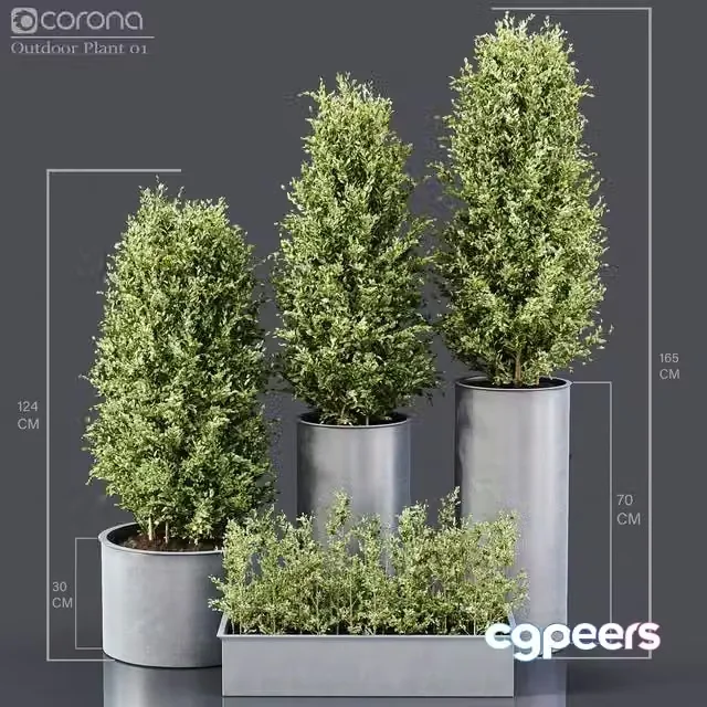 3ds Max Free – Outdoor Plant 01