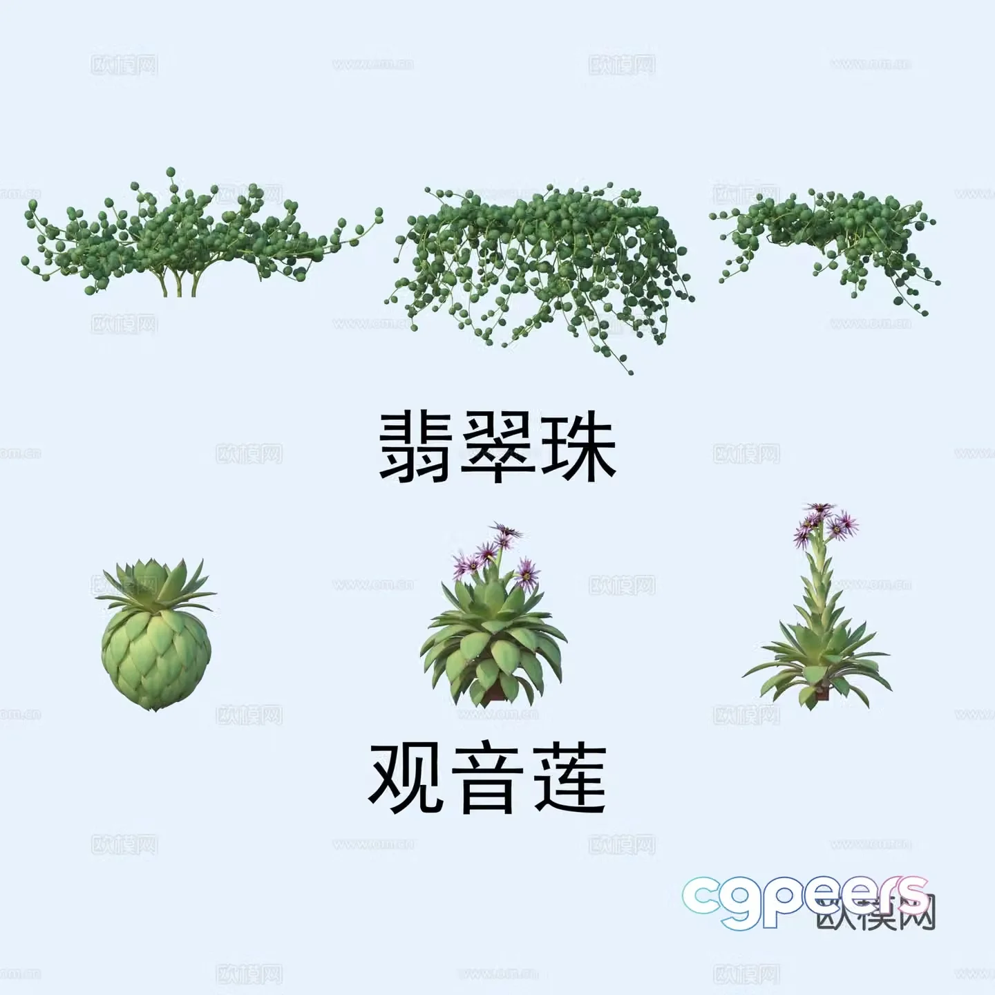 Plants flowers jade beads Guanyin lotus 3d model