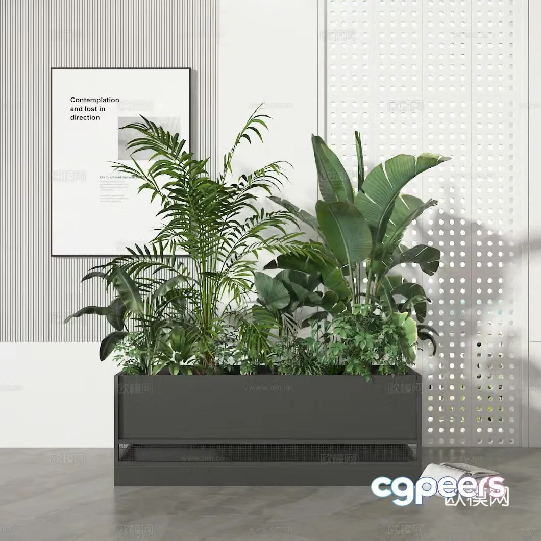 Plant combination 3D model