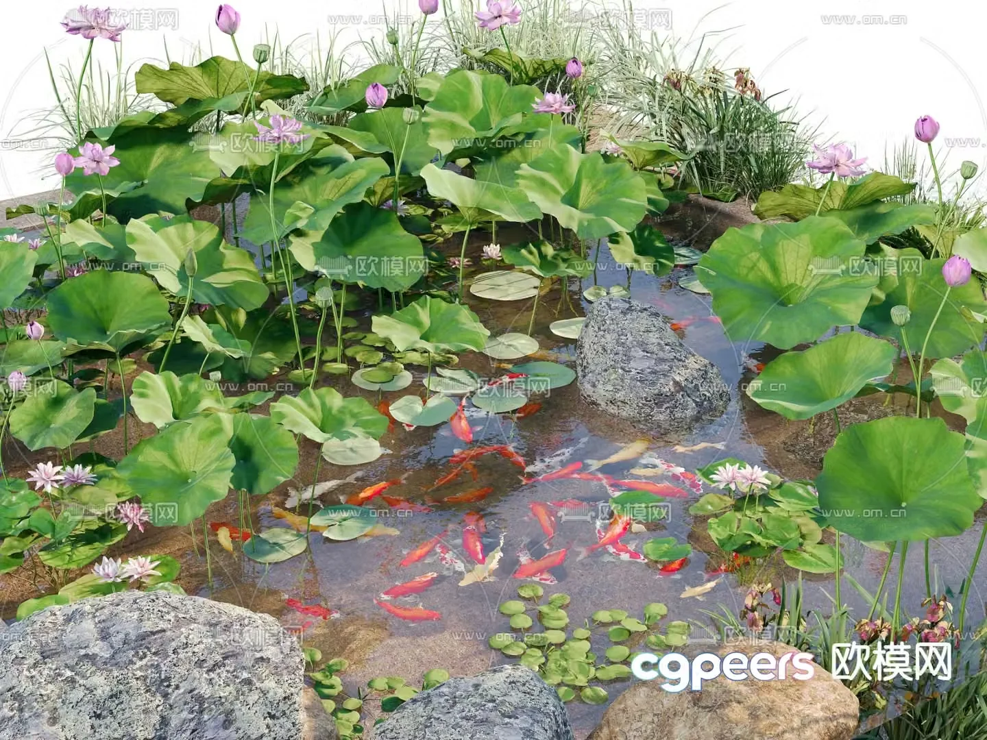 New Chinese style lotus pond koi pond 3d model