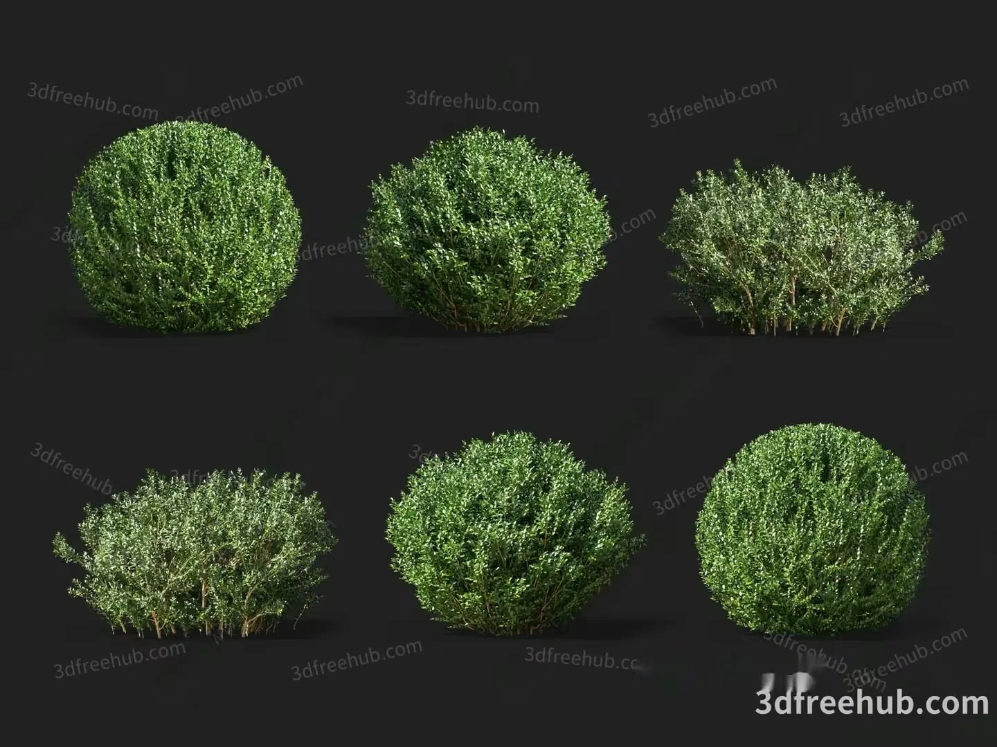 Bushes. The Image Shows A Collection Of Green Bushes 3D Model – 19645 – VRAY Render