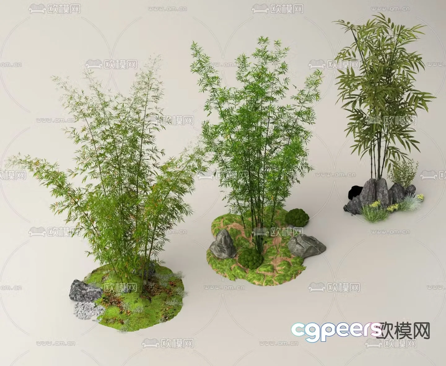 Bamboo Bamboo Forest Landscape Bamboo Plant 3D Model