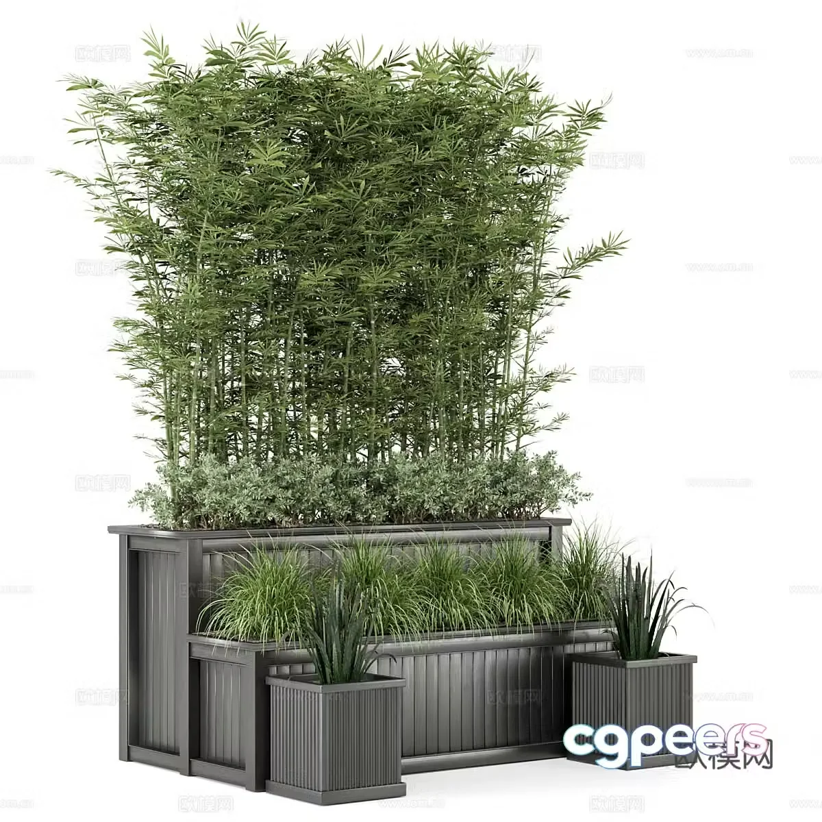 Bamboo potted plant flower pot plant tree outdoor plant bamboo 3d model