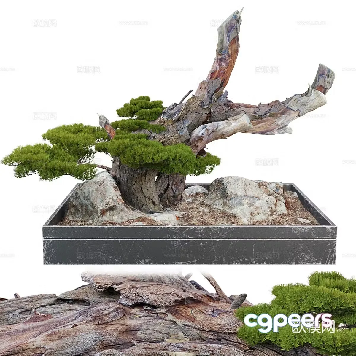 Bonsai landscape 3d model