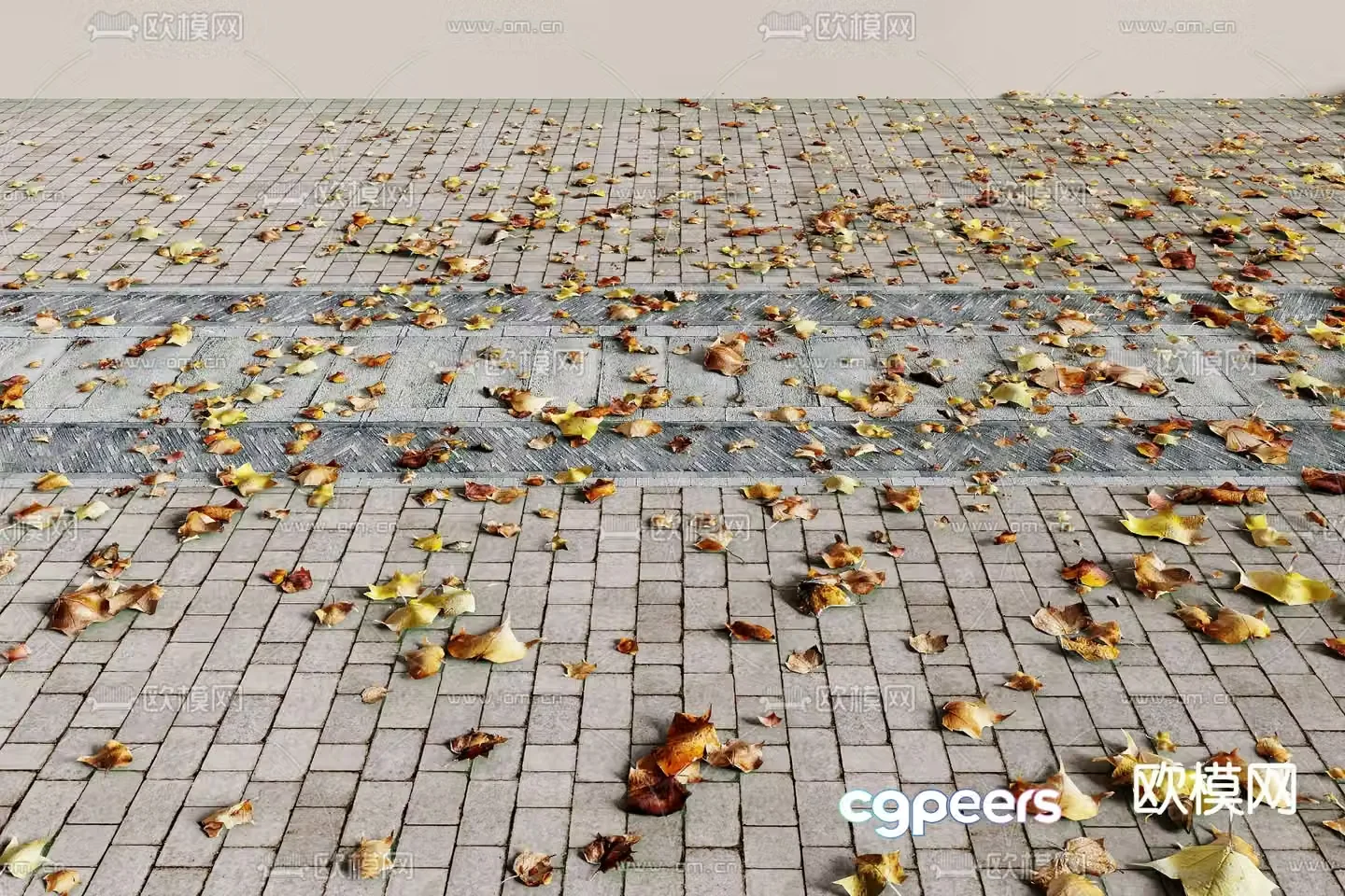 fallen leaves leaves dead leaves cement road 3d model