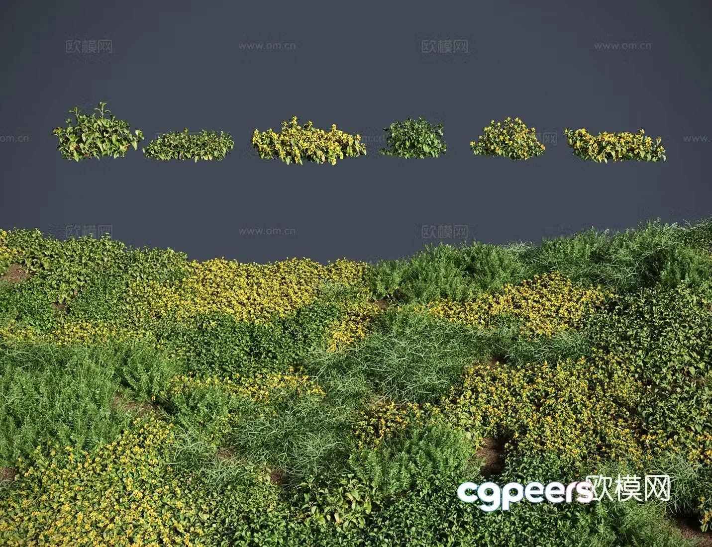 modern lawn lawn money grass meadow shrub 3d model