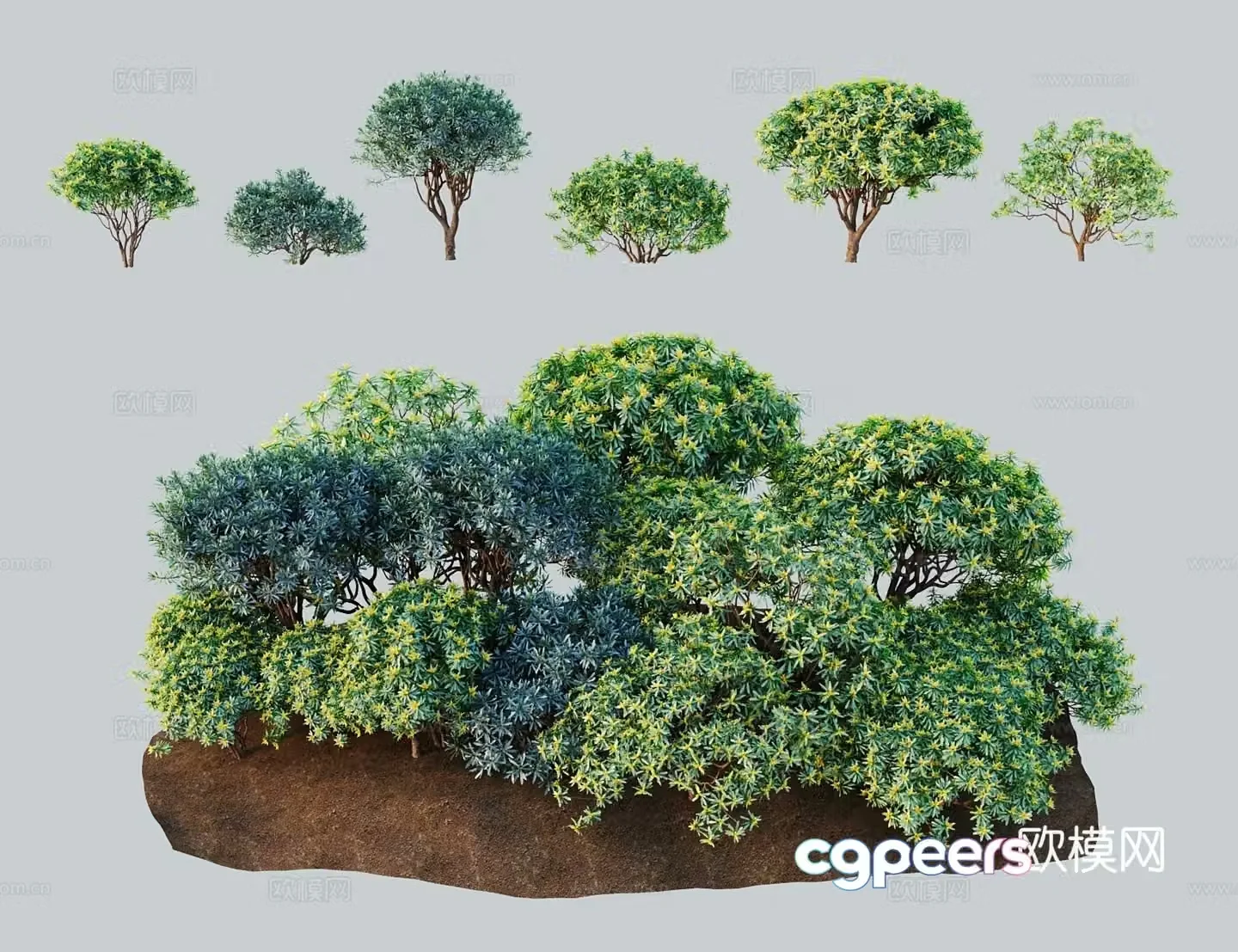 Modern landscape tree Willow Qilin 3D model