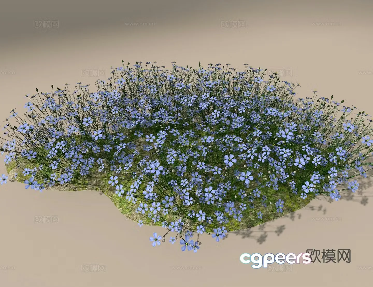 Blue Star Flower 3D Model