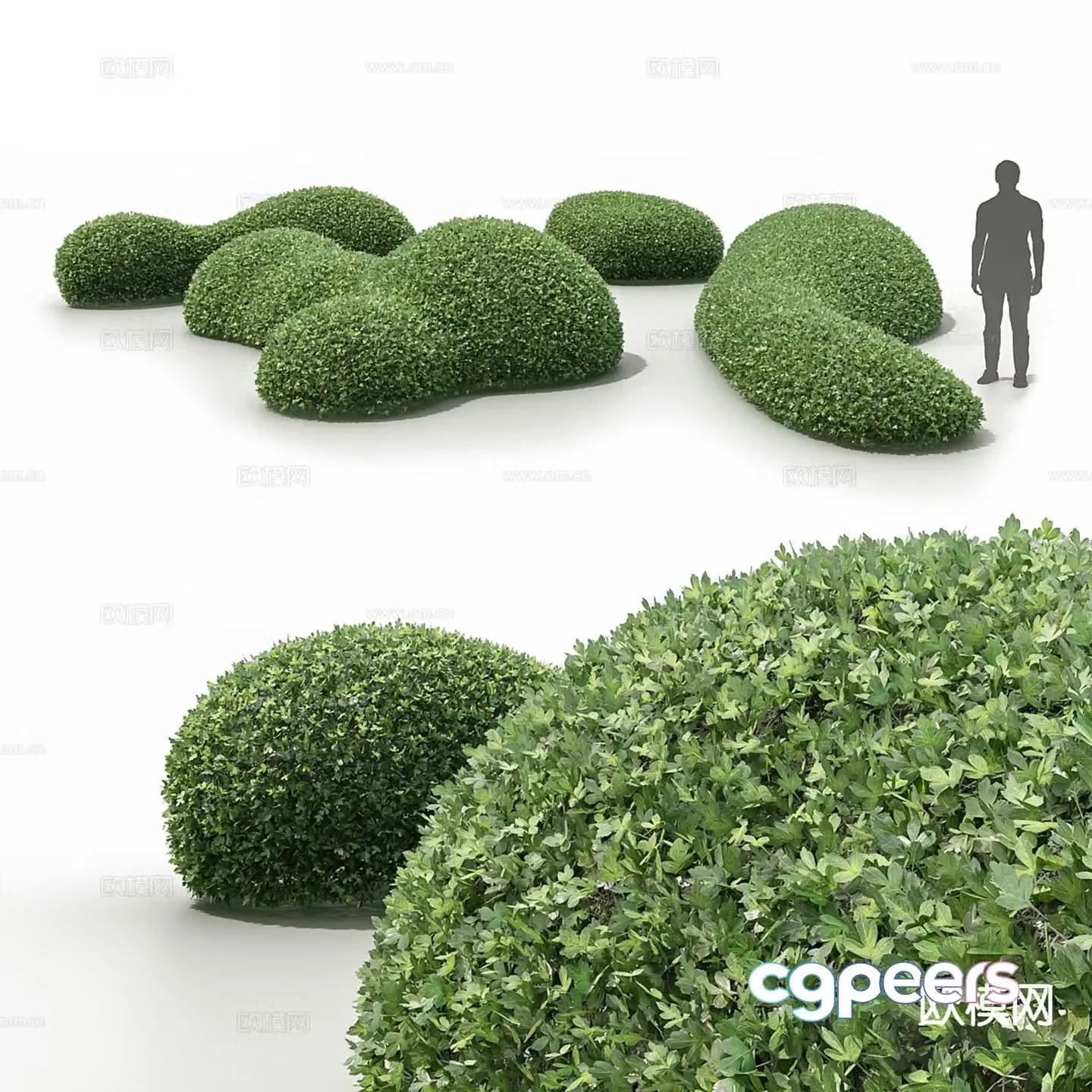 Modern shrubs plants hedges green belts 3d model