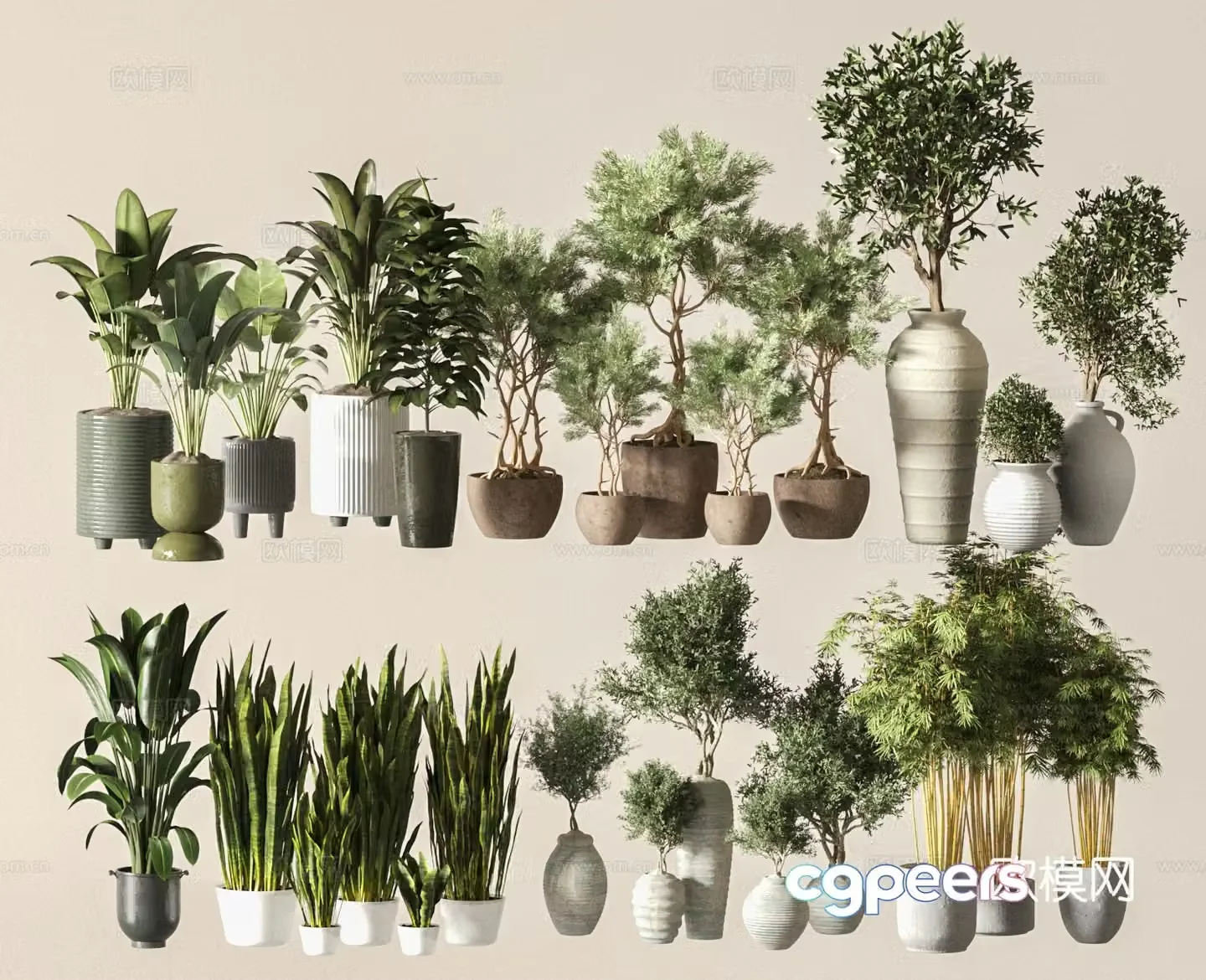 Modern potted plants 3d model