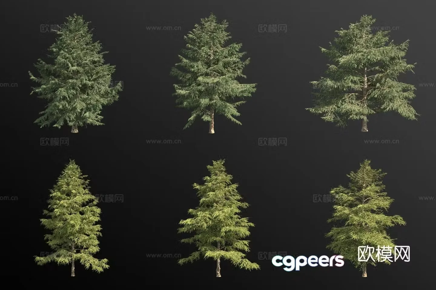 Golden leaf cedar landscape tree 3d model