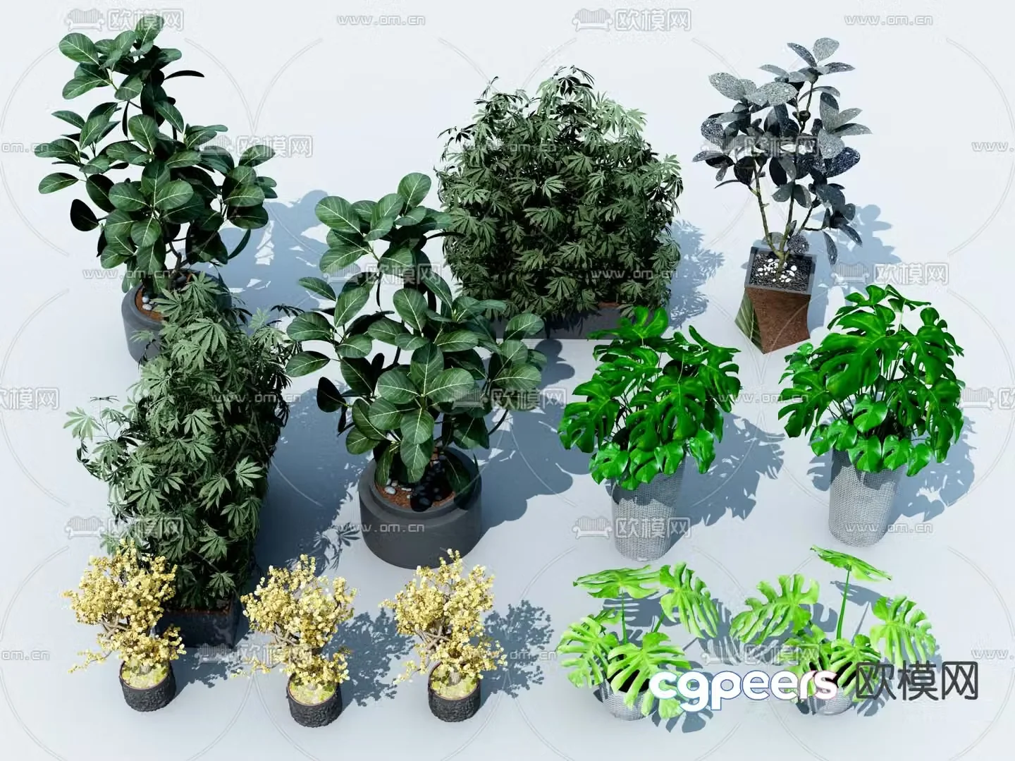 Green plants potted plants 3D model