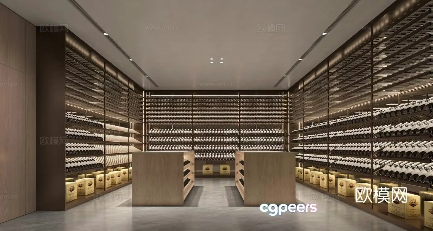 Modern villa wine cellar area 3D model