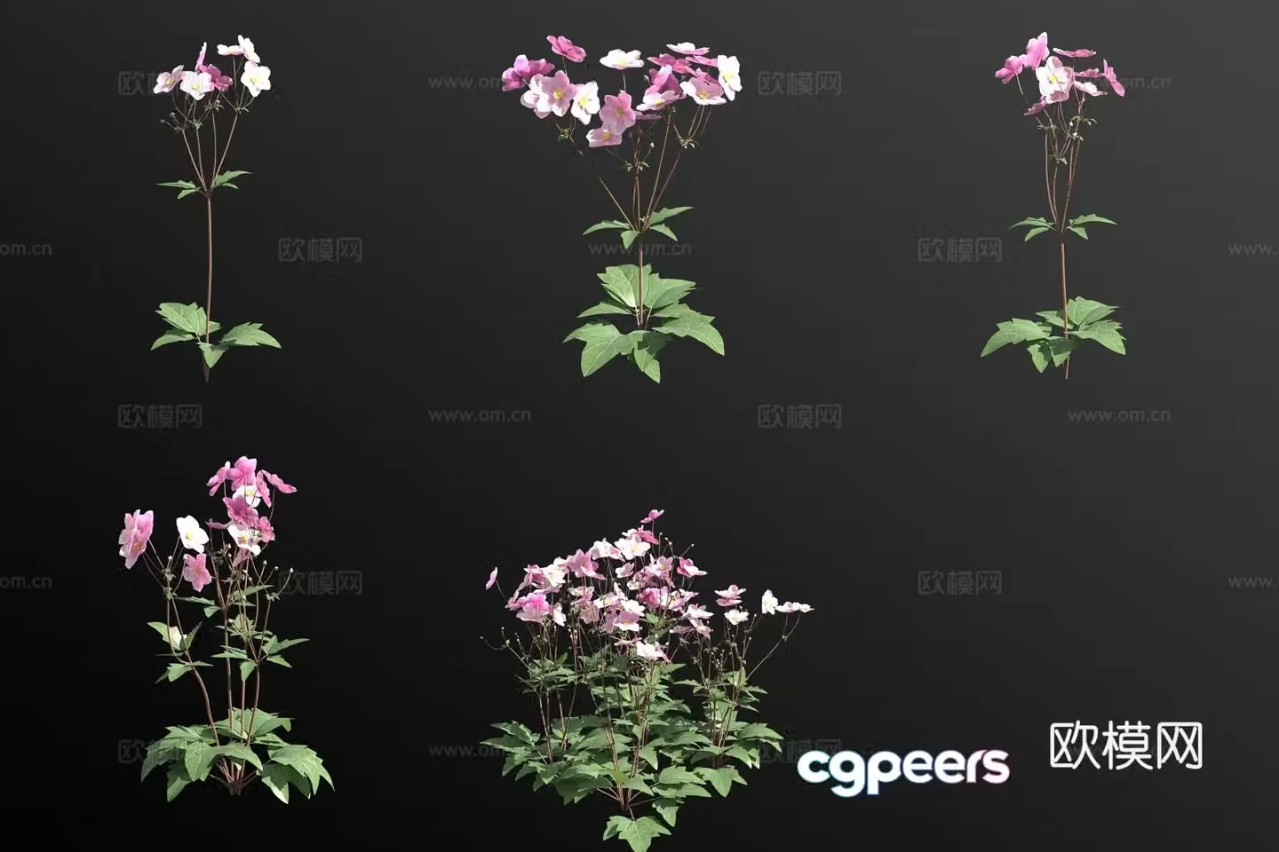Broken bowl of flowers flowers and plants 3d model