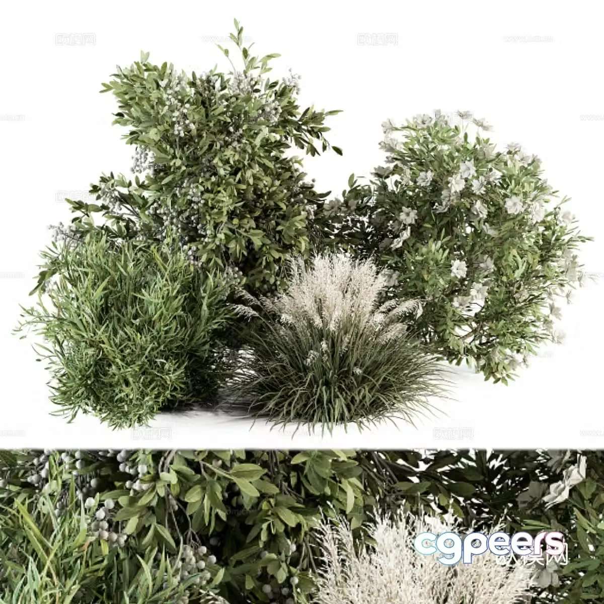 Shrub plant heap 3d model